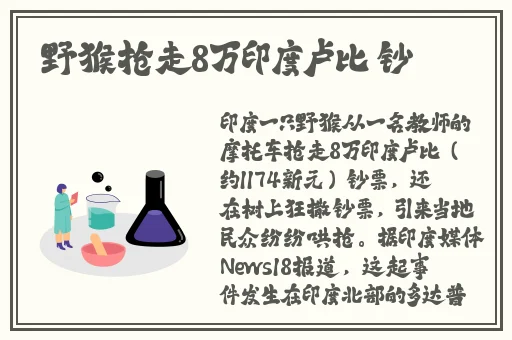 久re在线精品观看9